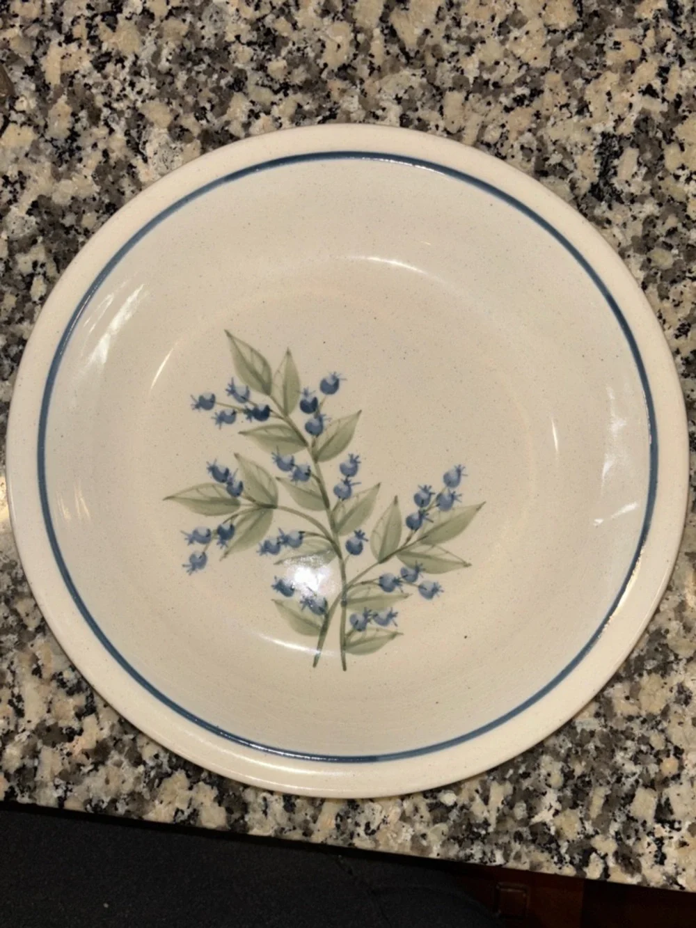 Vintage Union Stoneware Maine Hand-Painted Blue Floral Stoneware Serving Bowl